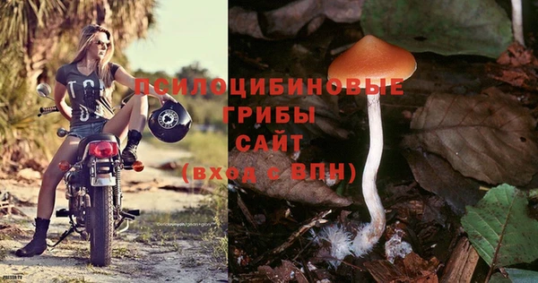 Альфа ПВП Беломорск